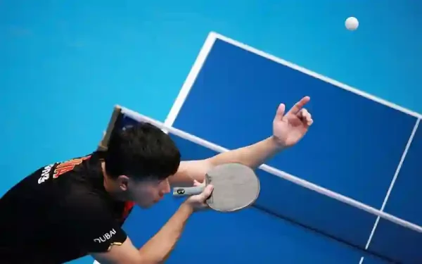 Table Tennis Sport 